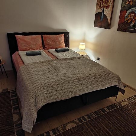 Spacious And Modern Apartment In Town Center 科尼茨 外观 照片