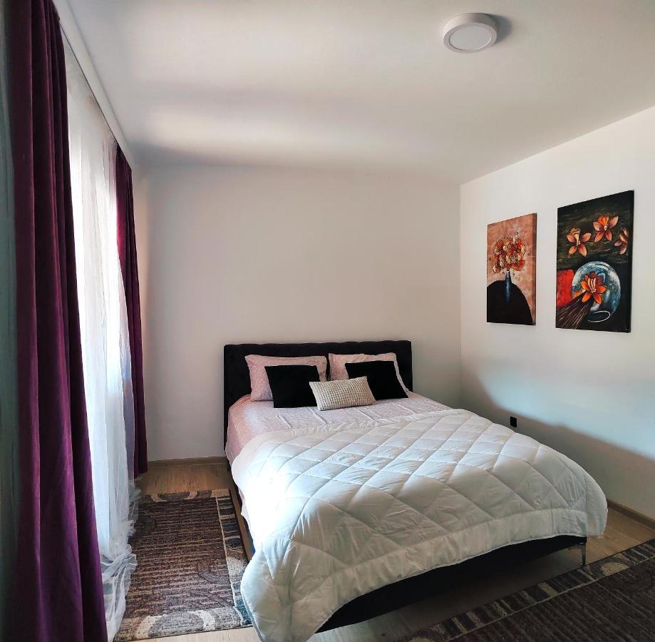 Spacious And Modern Apartment In Town Center 科尼茨 外观 照片